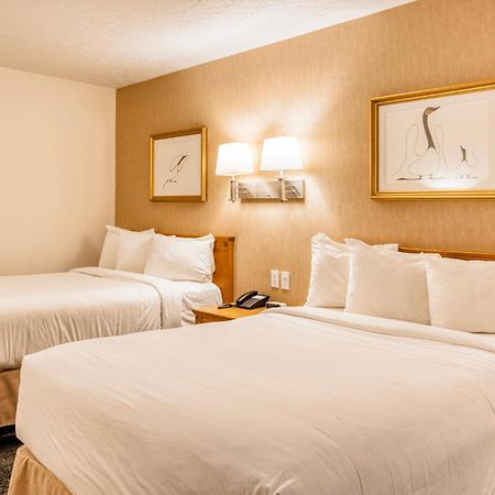 Motel Mistral Rouyn-Noranda Extérieur photo