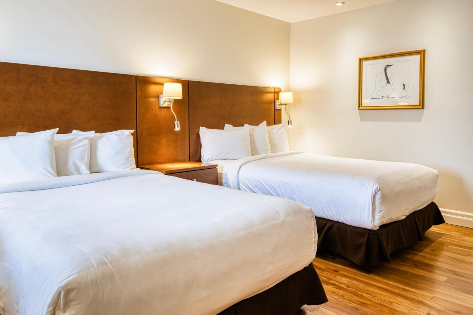 Motel Mistral Rouyn-Noranda Extérieur photo